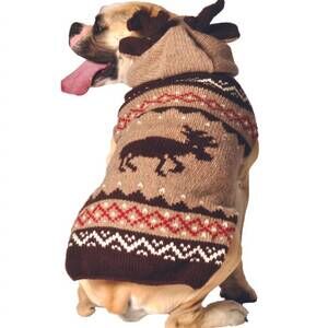 NEW CHILLY DOGS moosey dog sweater in tan